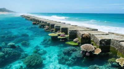 Genetically Engineered Coral Reefs for Coastal Defense
